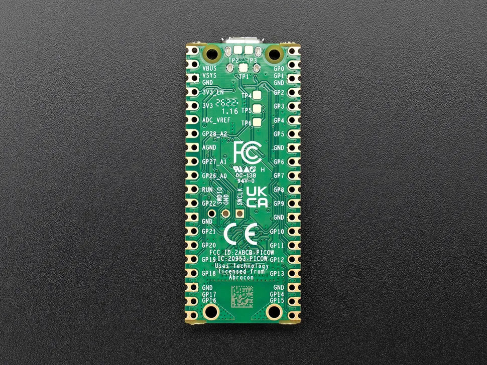 Raspberry Pi Pico W and Pico WH