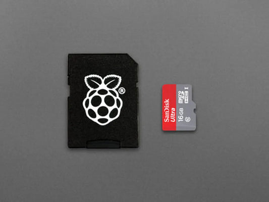 SanDisk MicroSD Card Class 10