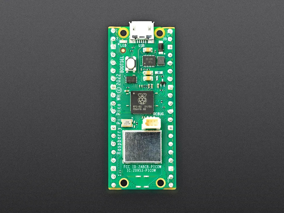Raspberry Pi Pico W and Pico WH