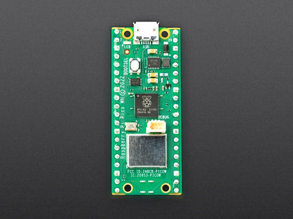 Raspberry Pi Pico W and Pico WH