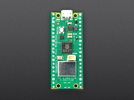 Raspberry Pi Pico W and Pico WH